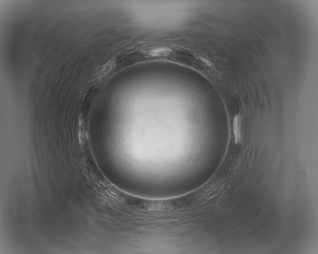 X0000057581443200509161050
