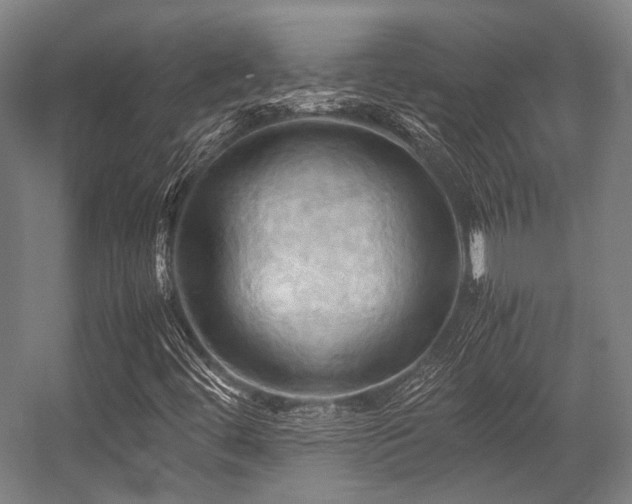 X0000057581444200509161050