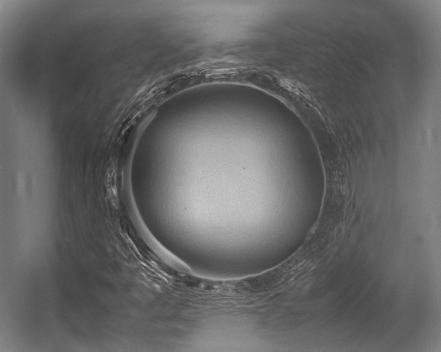 X0000057581445200509161049