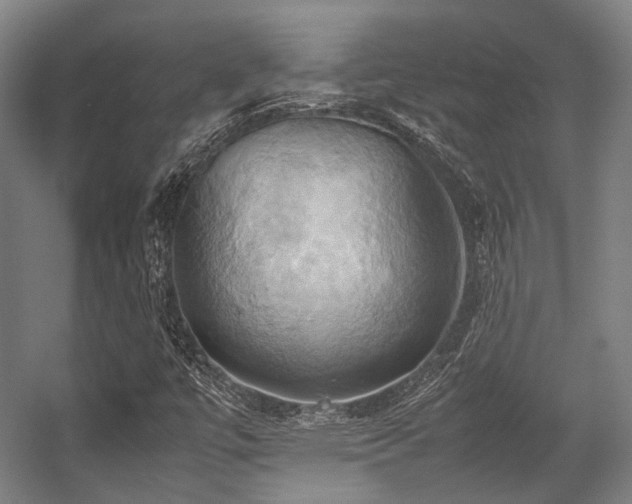 X0000057581447200509161049