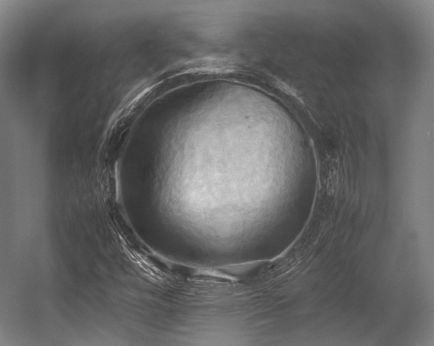 X0000057581448200509161049