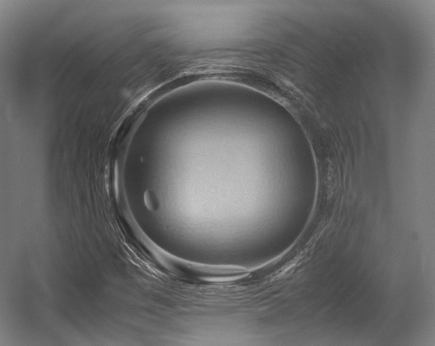 X0000057581449200509161049