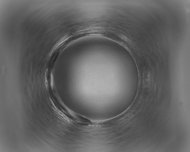 X0000057581450200509161049