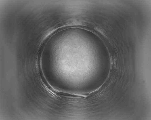 X0000057581452200509161049