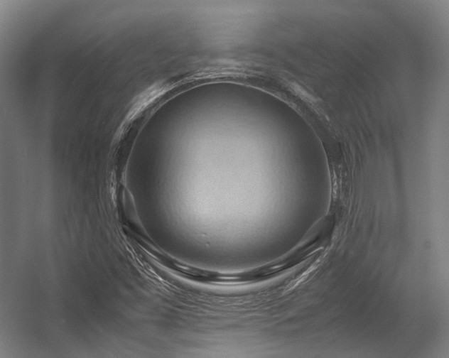 X0000057581453200509161049