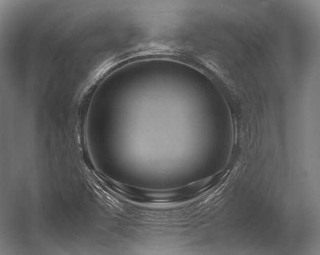 X0000057581455200509161049
