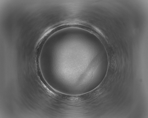 X0000057581456200509161049