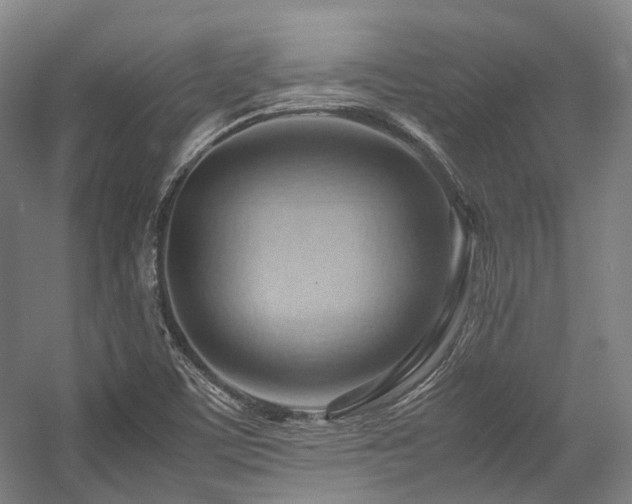 X0000057581459200509161049