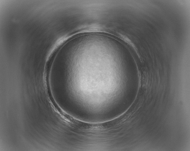 X0000057581464200509161049