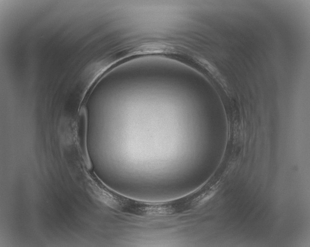 X0000057581465200509161049