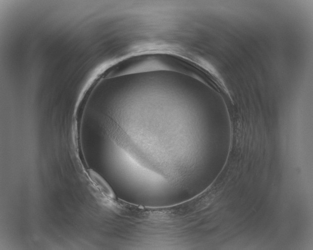 X0000057581472200509161049