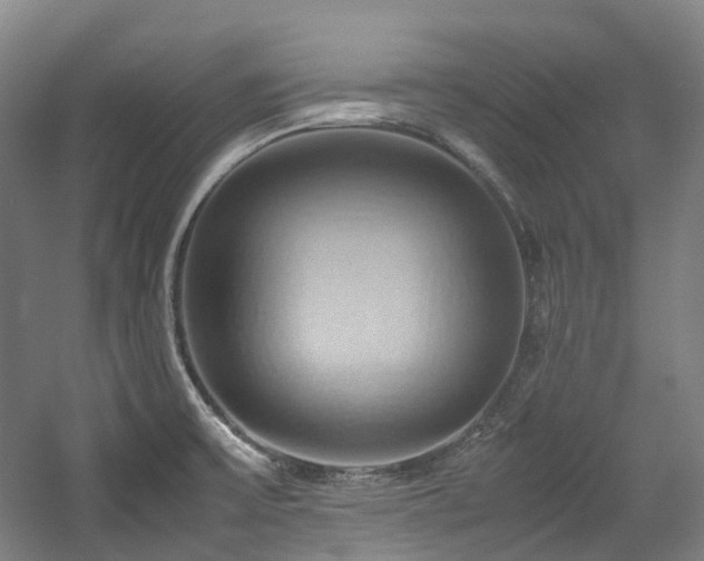 X0000057581475200509161049