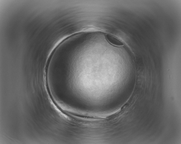 X0000057581476200509161049