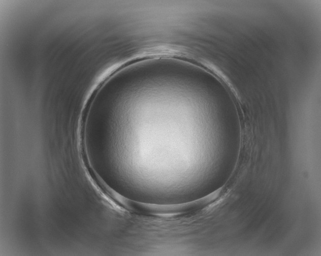 X0000057581477200509161049