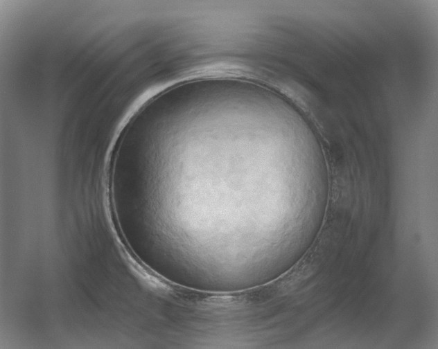 X0000057581478200509161049