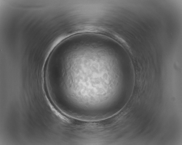X0000057581479200509161049