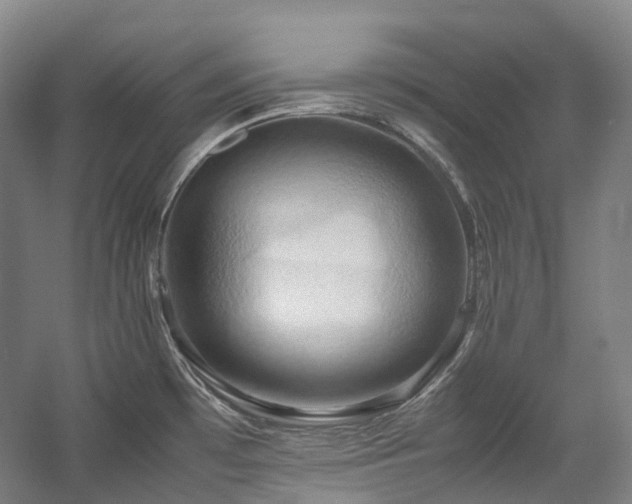 X0000057581481200509161049
