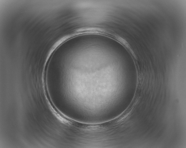 X0000057581482200509161049