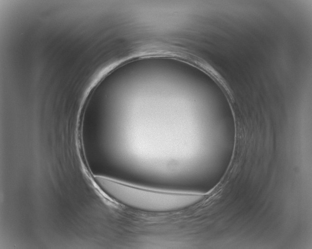 X0000057581485200509161049