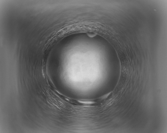 X0000057581490200509161048