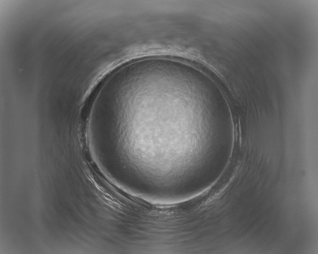 X0000057581501200509161048