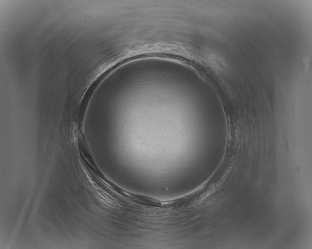 X0000057581505200509161048