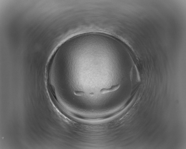X0000057581508200509161048