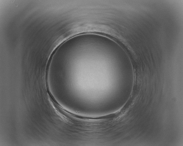 X0000057581513200509161048