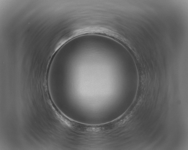 X0000057581521200509161049
