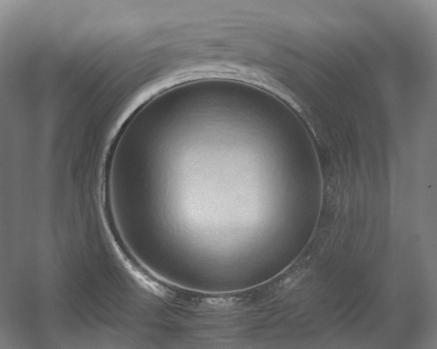 X0000057581523200509161049