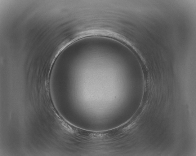 X0000057581529200509161049