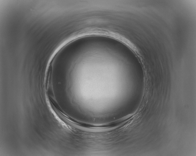 X0000057581536200509161049