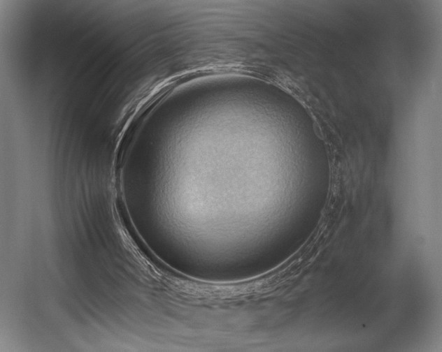 X0000057580002200509191503