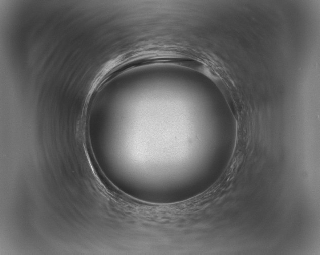 X0000057580003200509191503