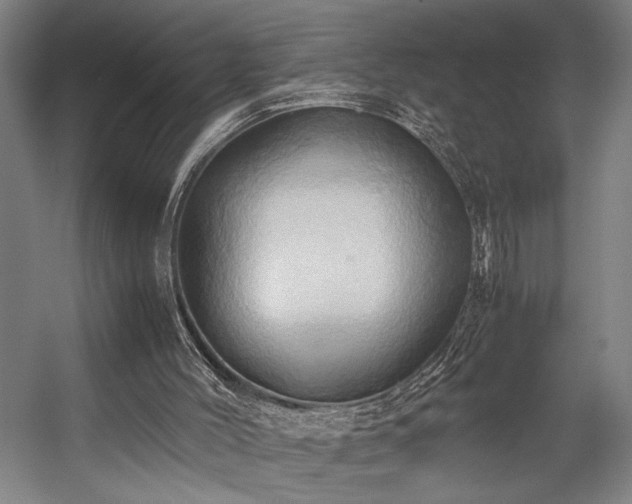 X0000057580004200509191503