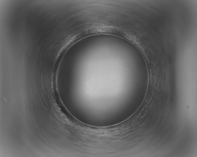 X0000057580010200509191503