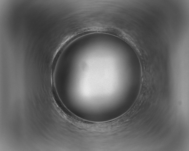 X0000057580011200509191503