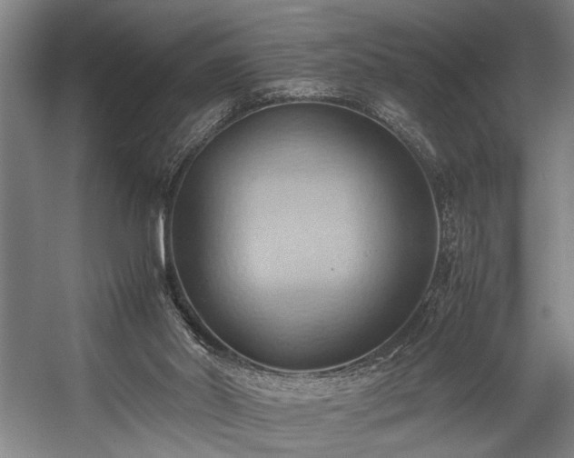 X0000057580014200509191502