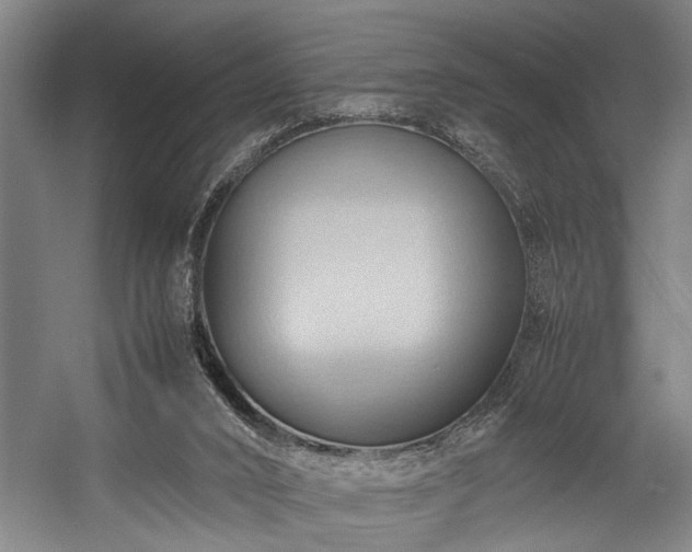 X0000057580016200509191502