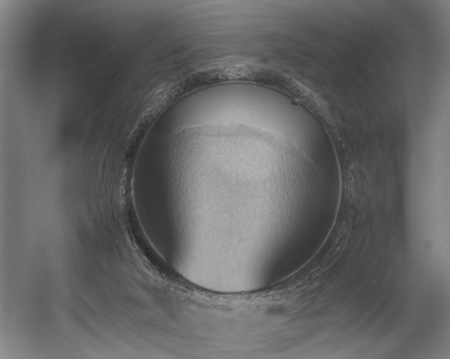 X0000057580018200509191502