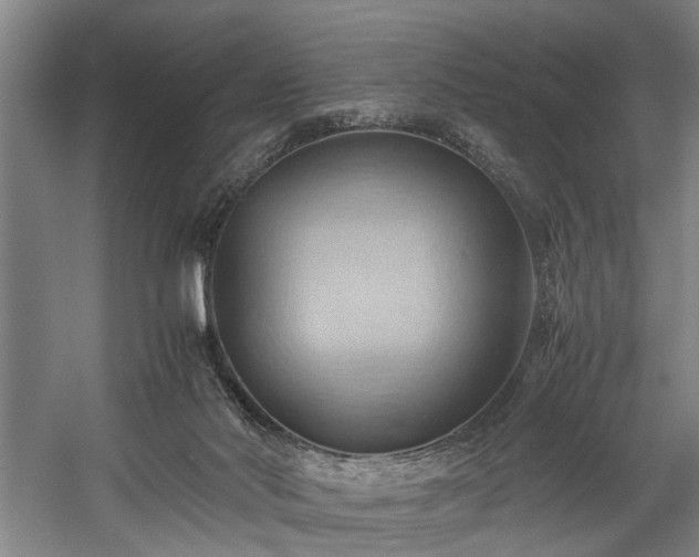 X0000057580022200509191502