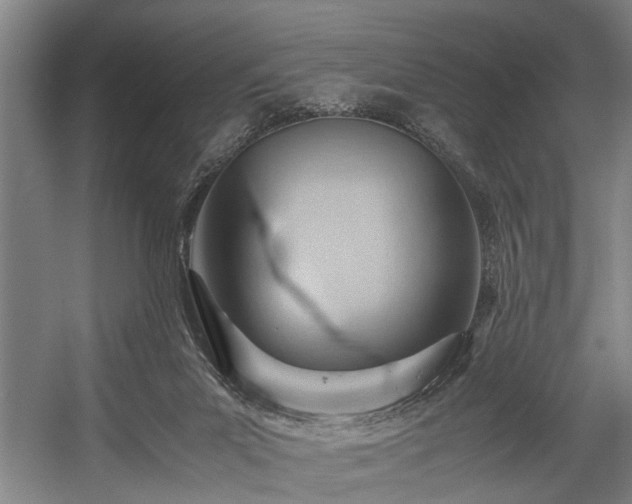 X0000057580023200509191502