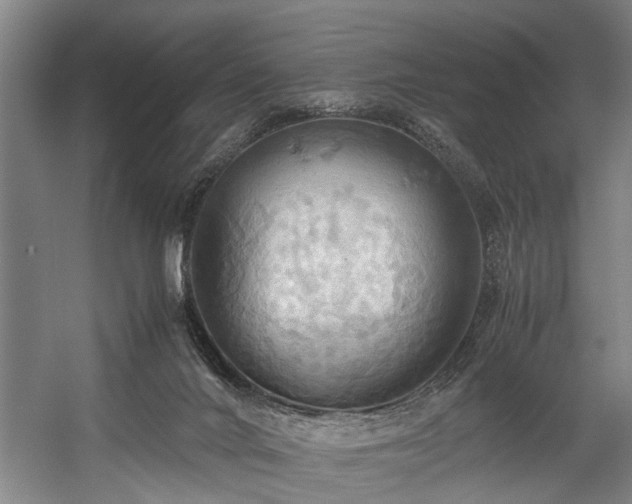 X0000057580024200509191502
