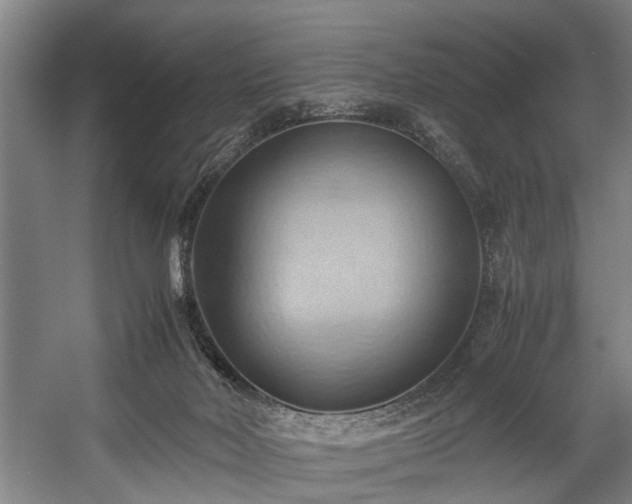 X0000057580026200509191502
