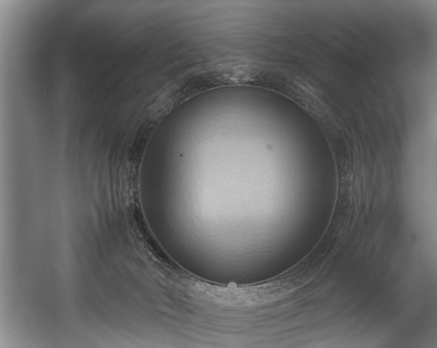 X0000057580030200509191502
