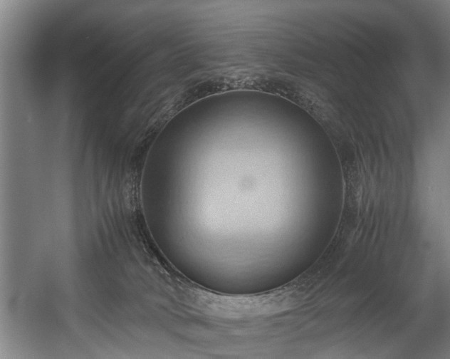X0000057580034200509191502