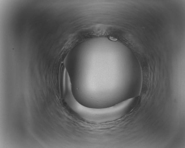 X0000057580035200509191502