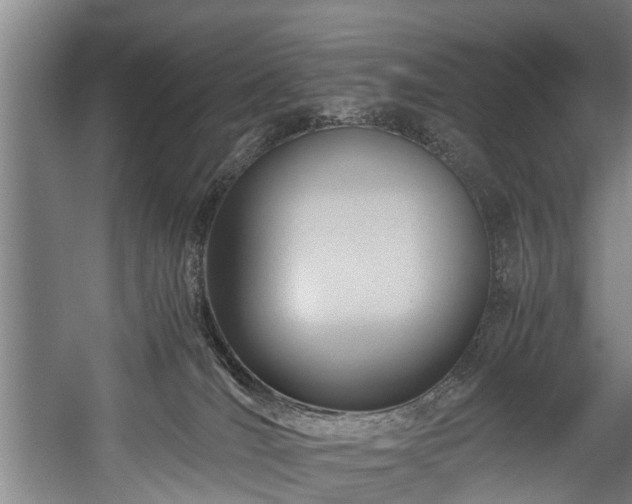 X0000057580036200509191502