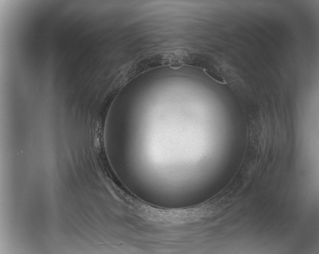X0000057580038200509191502
