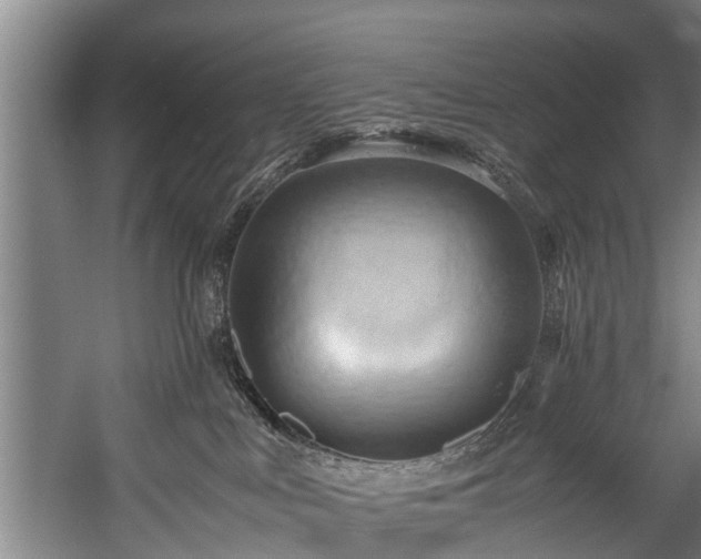 X0000057580043200509191502